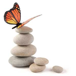 butterfly on stack of stones